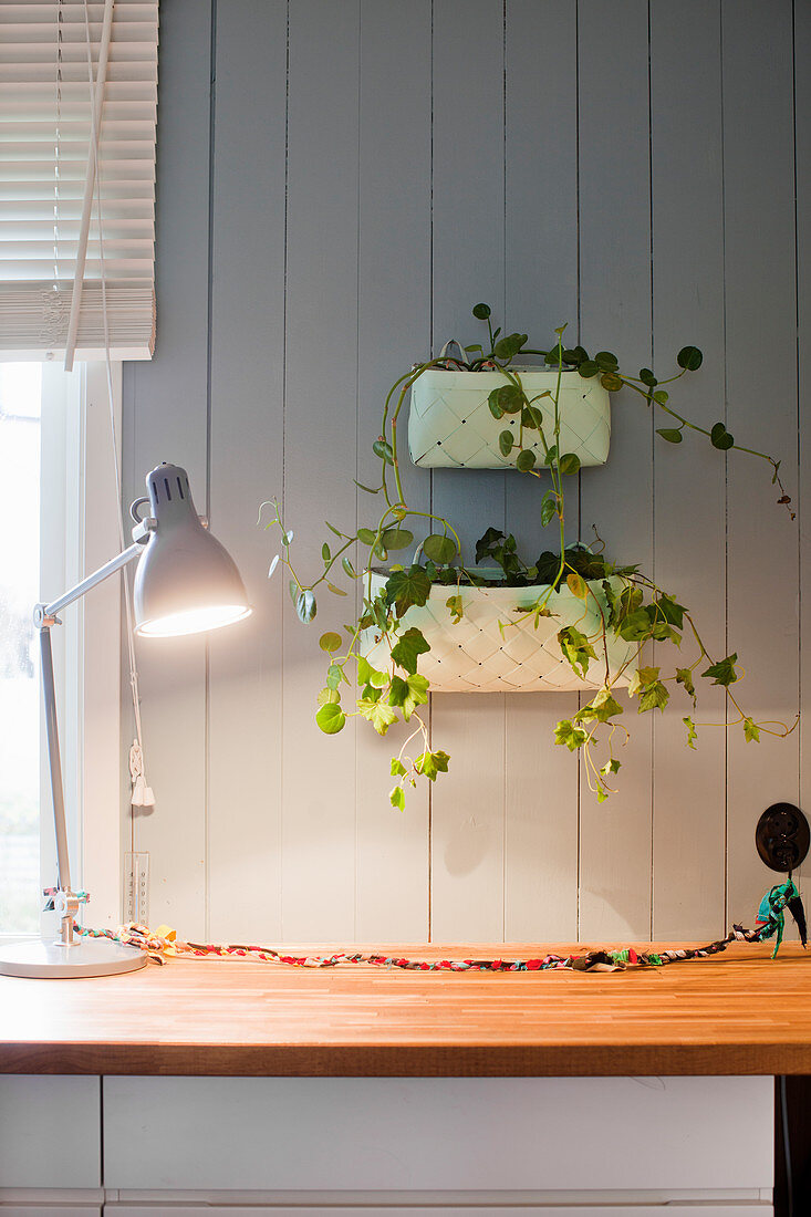 Zimmerpflanzen an Holzwand über Küchenarbeitsplatte mit Tischlampe