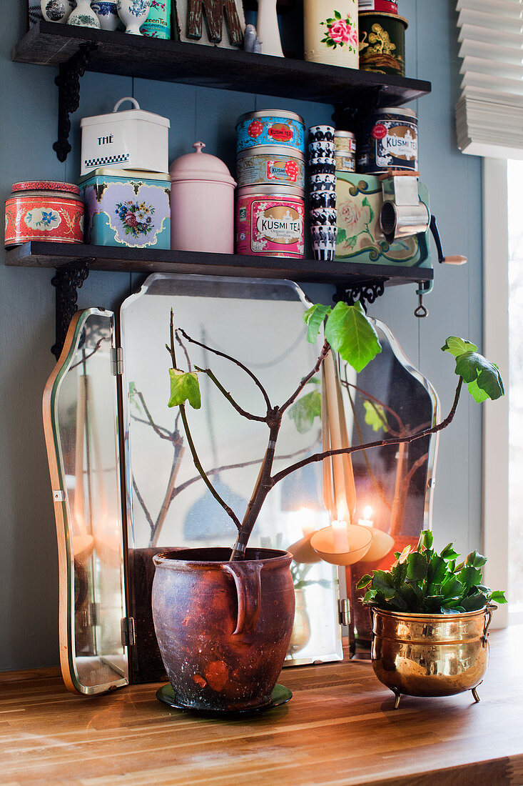 Leafy branch, houseplant and mirror on wooden surface below vintage storage jars on wall-mounted shelves