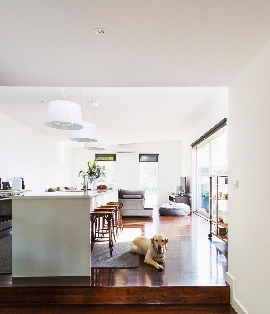 Kücheninsel mit Barhockern in offenem Split-Level-Wohnbereich, Hund auf Parkettboden