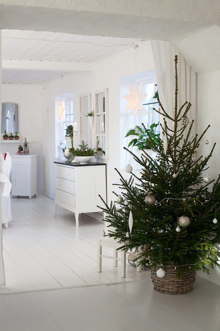 Schlichter Weihnachtsbaum im Korb im Esszimmer ganz in Weiß