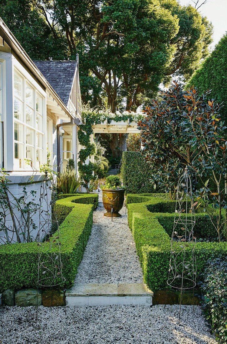 Gravel path lined with box hedges in the garden
