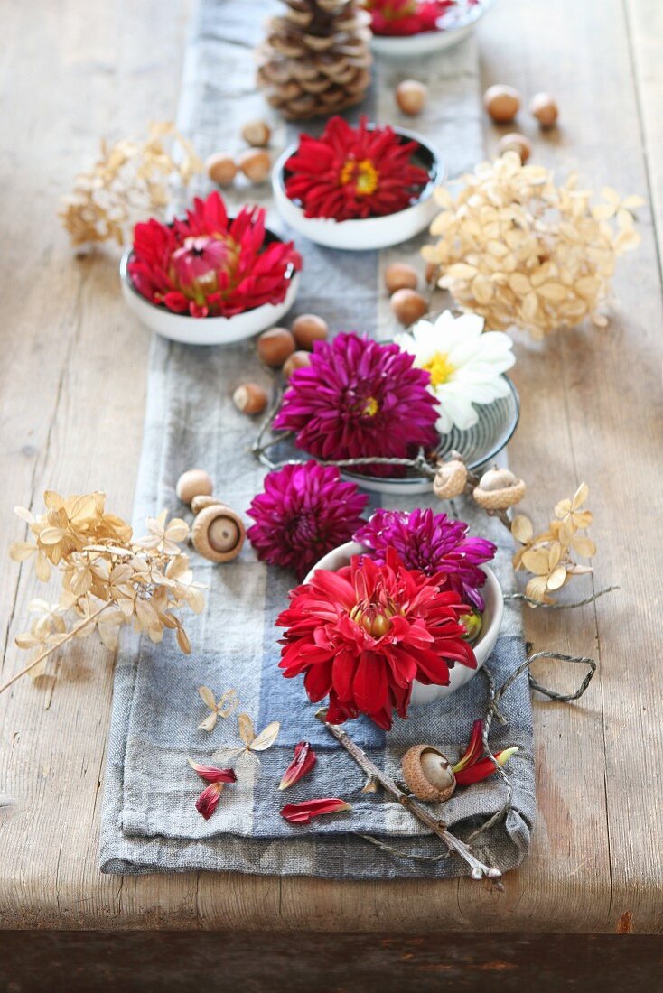 Tischdekoration zu Halloween mit Dahlien, Haselnüssen und getrockneten Hortensienblüten auf rustikalem Tisch mit blauem Tuch