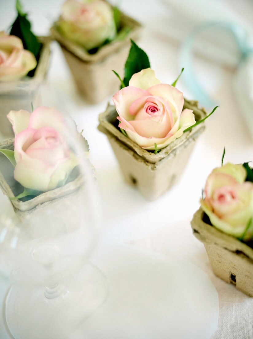 Pappbecher mit rosa Rosen als Tischdeko