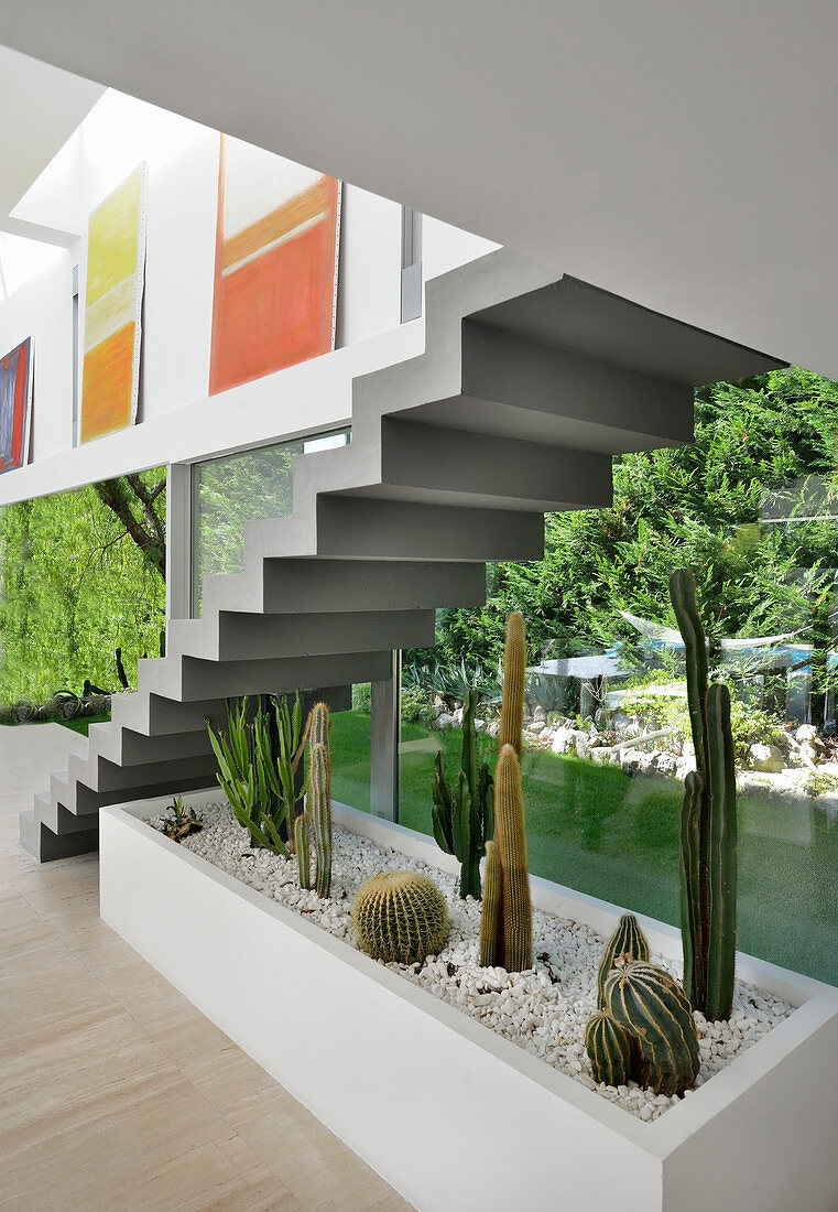 Bed of cacti under self-supporting staircase against glass wall