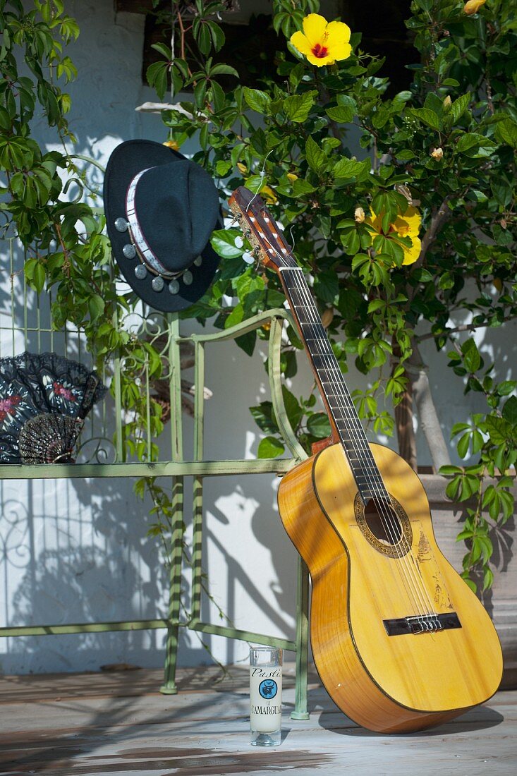 Guitar and hat on garden bench next to flowering hibiscus