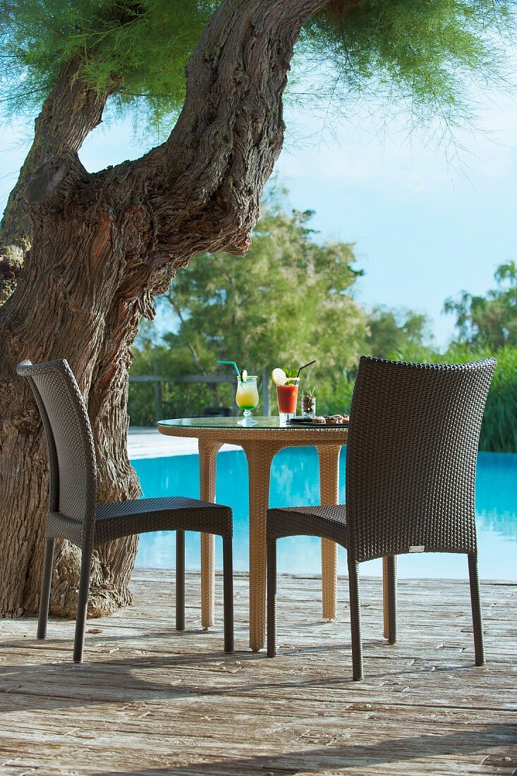 Two cocktails on table under gnarled old tree next to swimming pool