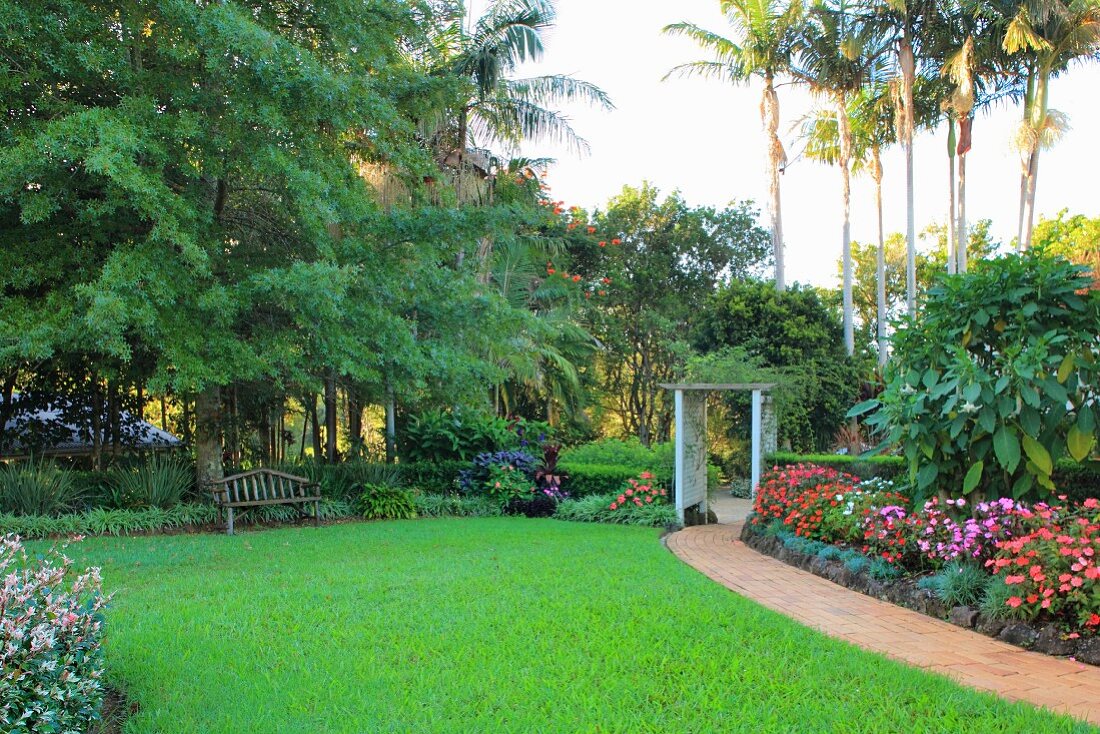 Exotic garden with lawn and tropical plants