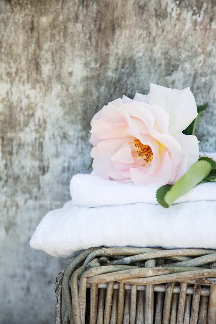 Aufgeblühte Rose auf einem Stapel Handtücher