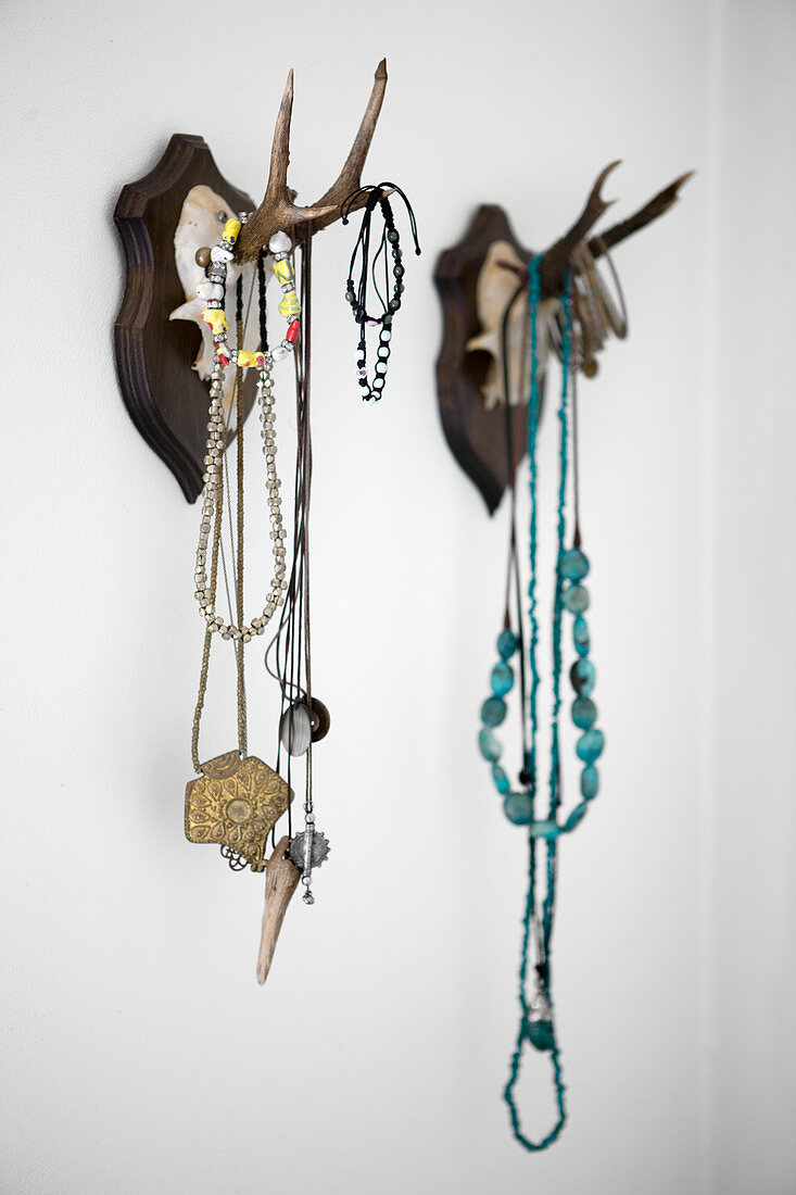 Hunting trophies with antlers used as jewellery rack on wall