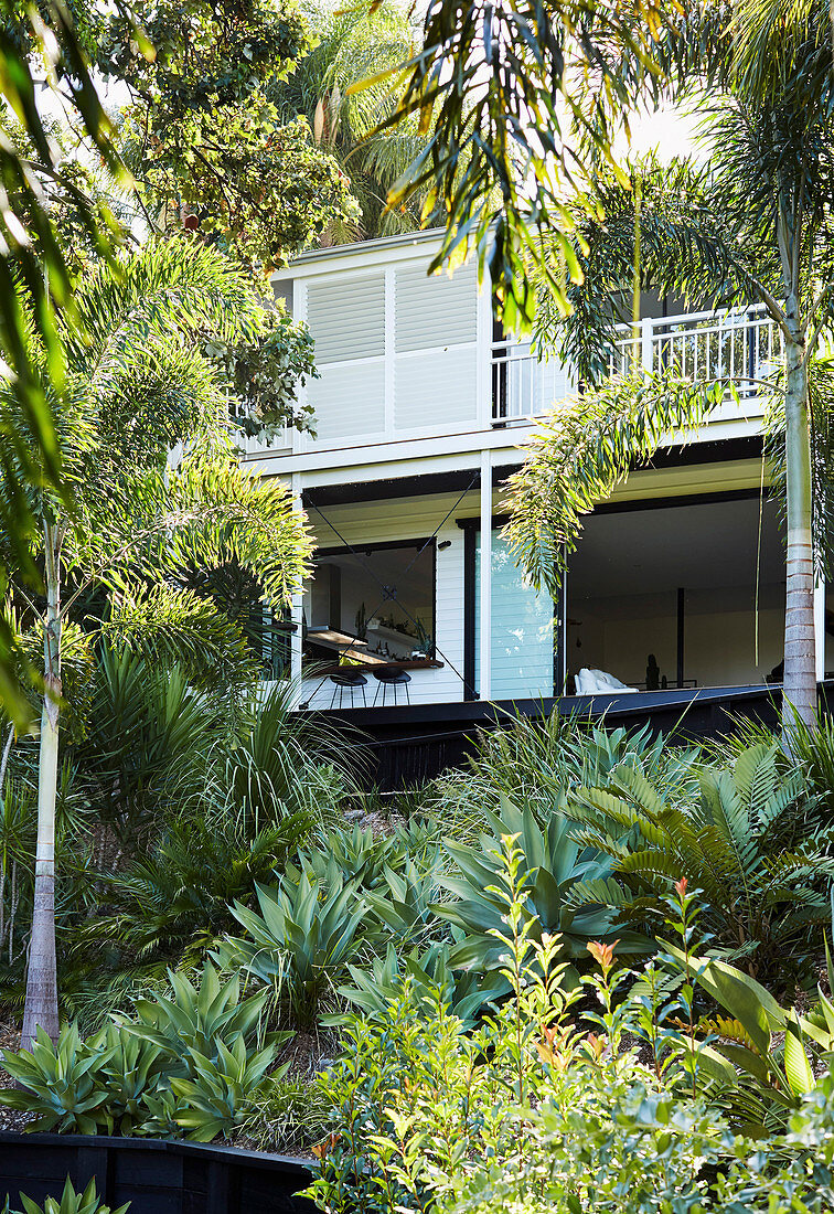 Haus mit Veranda im exotischen Garten mit Palmen und Sukkulenten