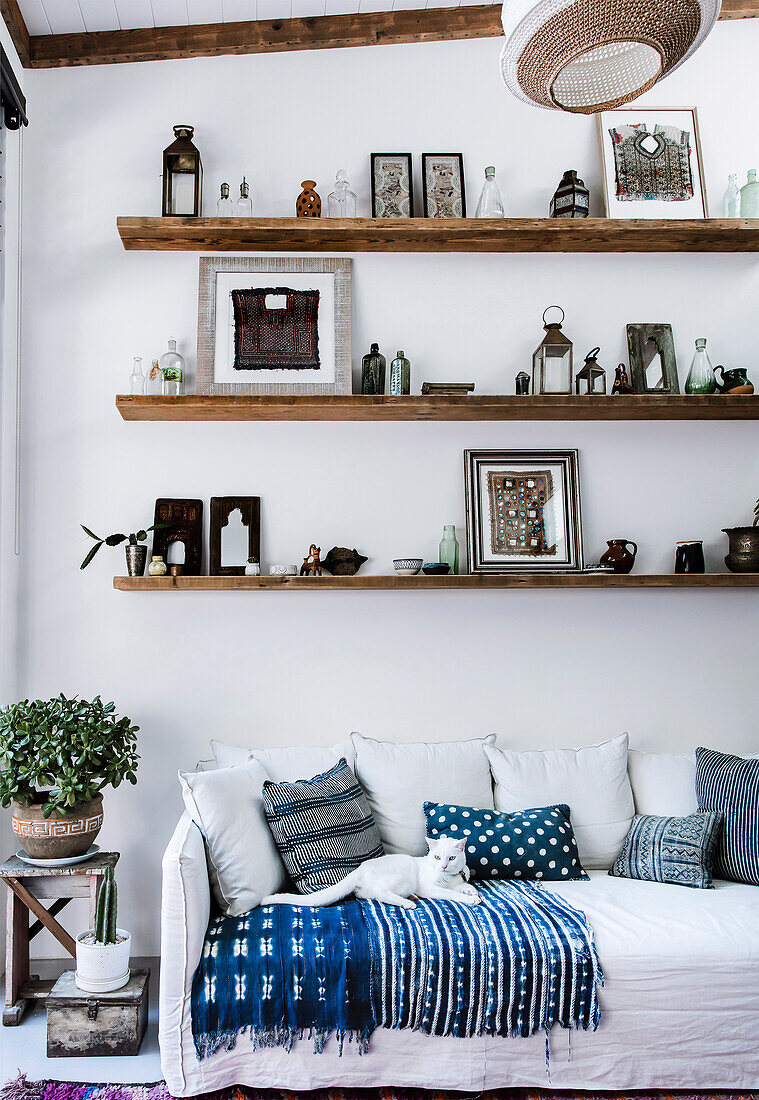 Cat on white sofa with blue pillows and towels