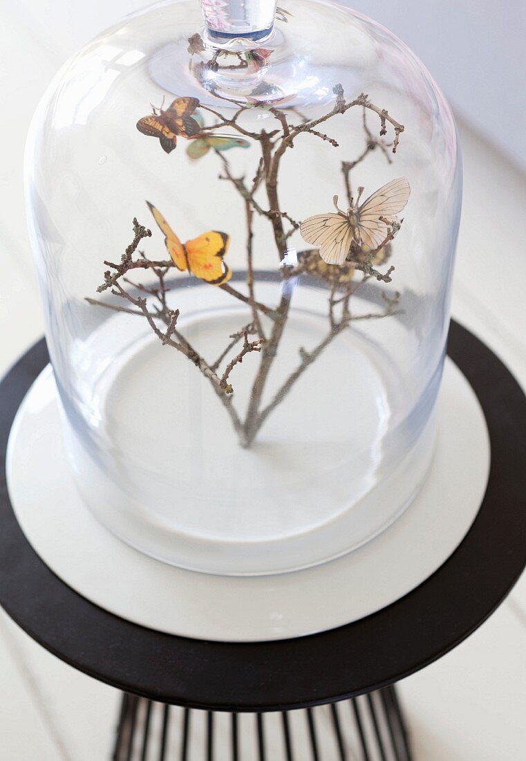 Butterfly decorations on branches under glass cover
