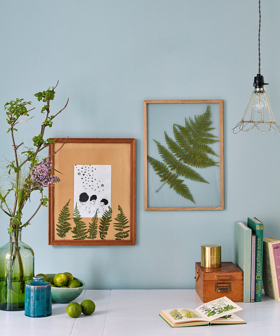 Pressed fern leaves mounted in picture frames behind glass