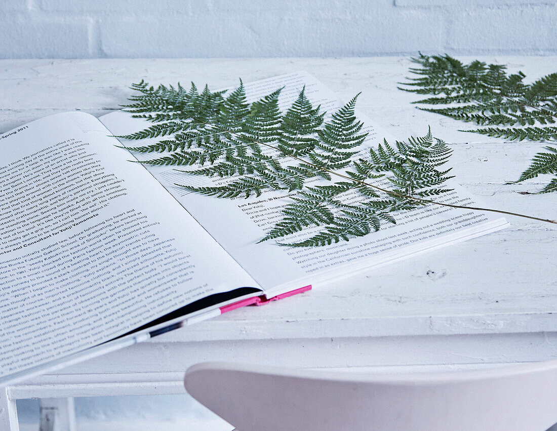 Fern leaf pressed in book on desk