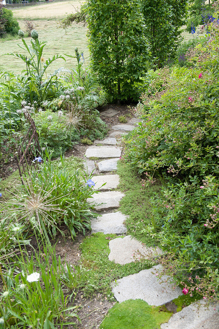 Curved path made of natural stone slabs, pink (rose), allium