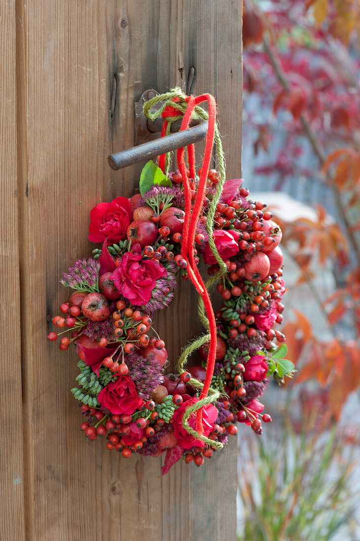 Roter Herbstkranz mit Rosa ( Rosen, Hagebutten ), Malus ( Zieraepfeln )
