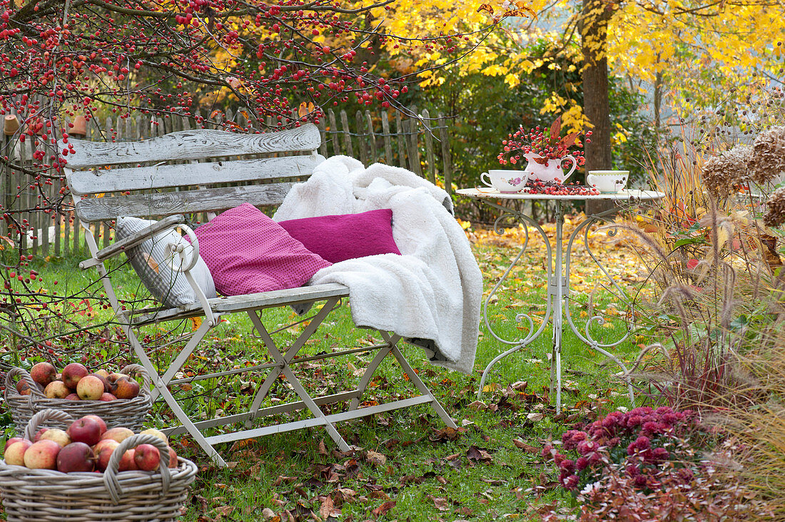 Bench with pillows and blanket under malus
