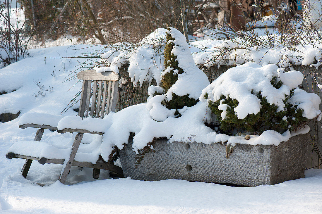 Snowy stone trough with conifers and garden chair on terrace