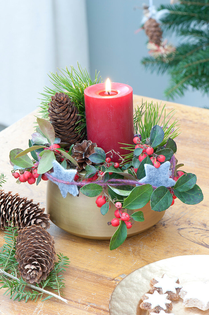 Kleines Adventsgesteck mit roter Kerze, Zweigen von Pinus ( Kiefer