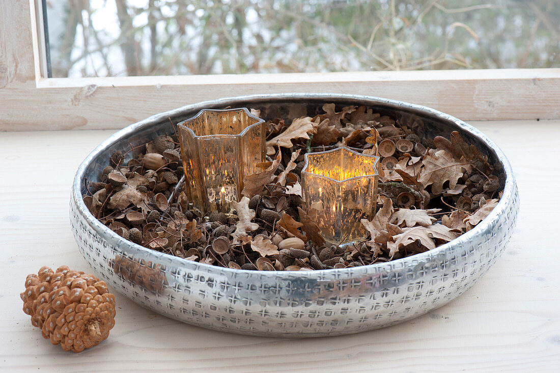 Star-shaped lanterns in silver bowl with Quercus leaves