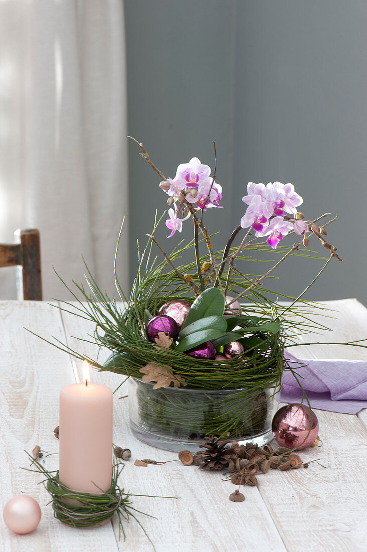 Weihnachtliche Tischdeko mit Schmetterlingsorchideen