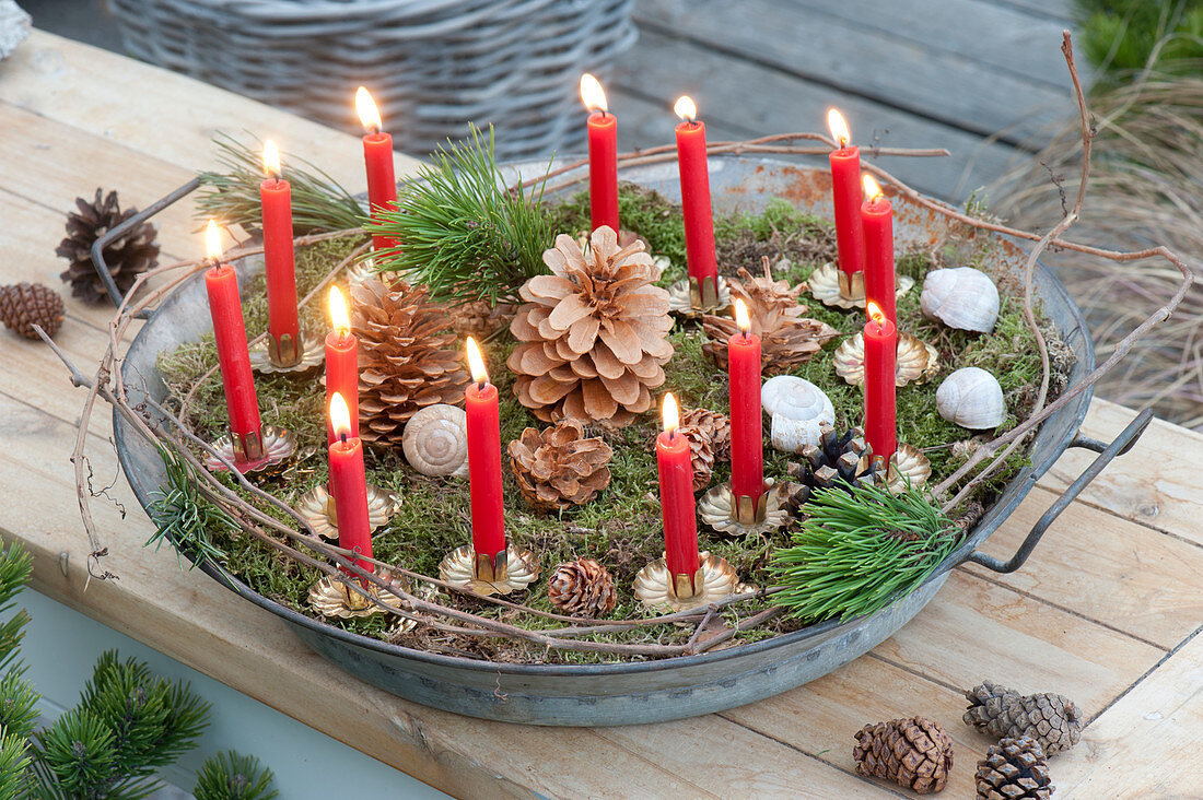 Weihnachtlicher Lichterzauber mit 13 roten Kerzen, Moos, Pinus