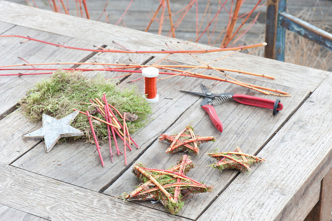 Making stars out of colorful dogwood branches