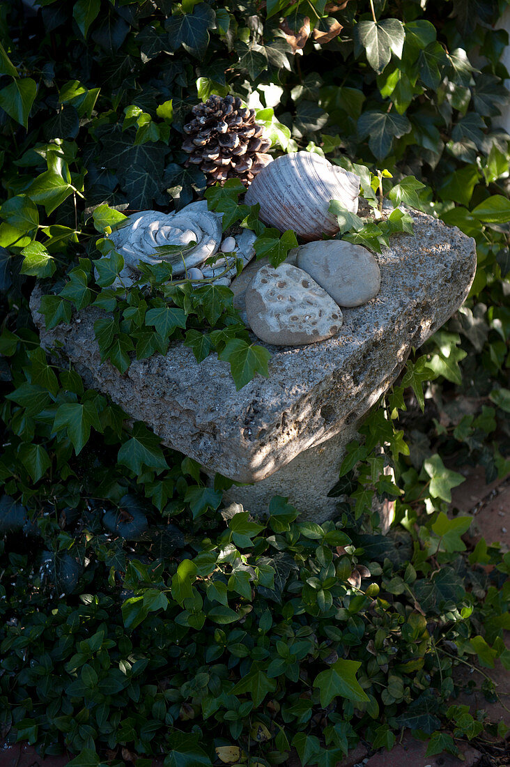 Small decoration in the shade bed, granite column between Hedera