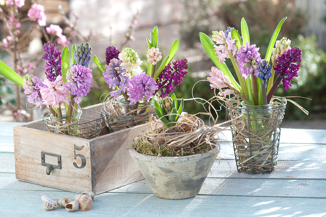 Hyacinthus (hyacinth) bouquet with glasses in wire baskets