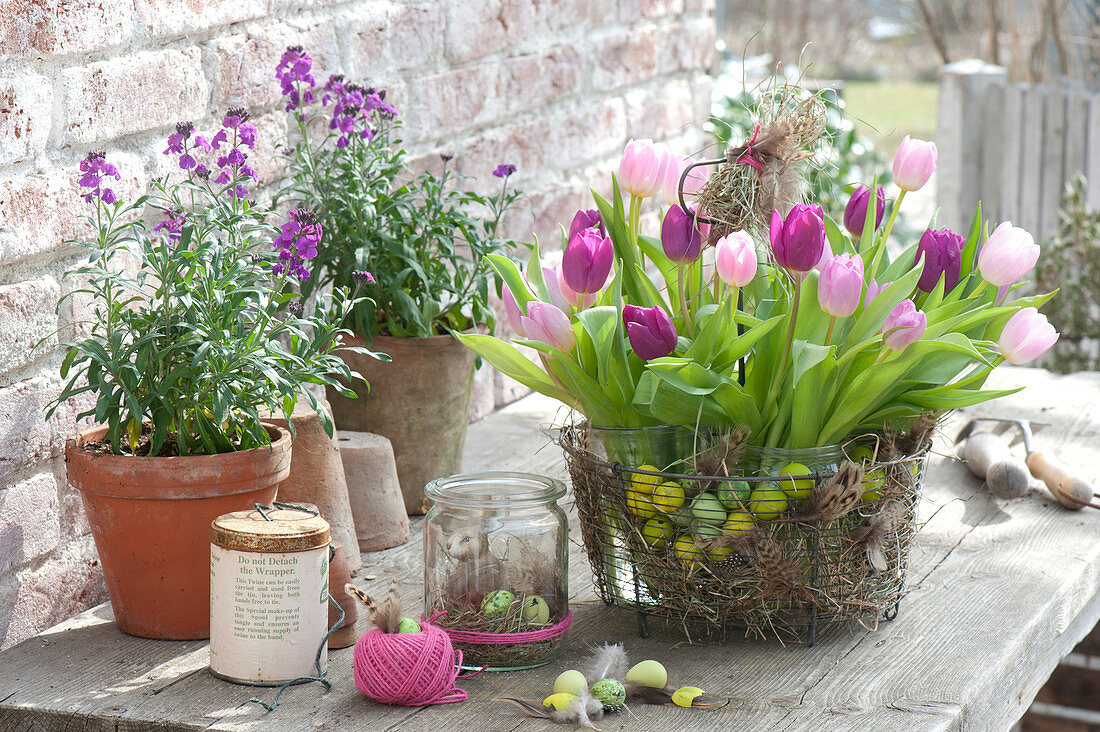 Tulipa (tulip) bouquet in wire basket with Easter eggs