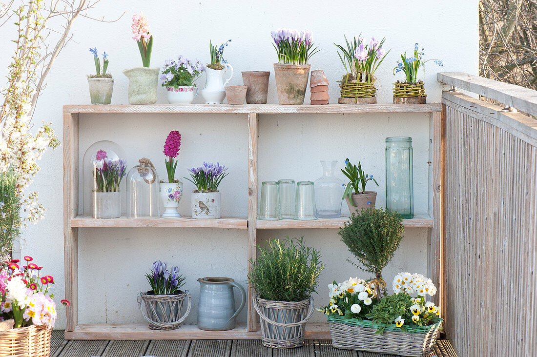 Spring balcony with self-built shelf