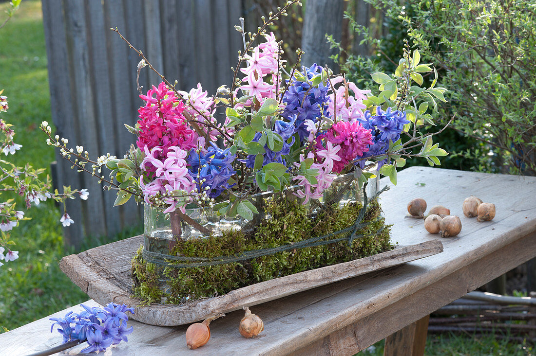 Gesteck aus Hyacinthus ( Hyazinthen ), Zweigen von Prunus spinosa