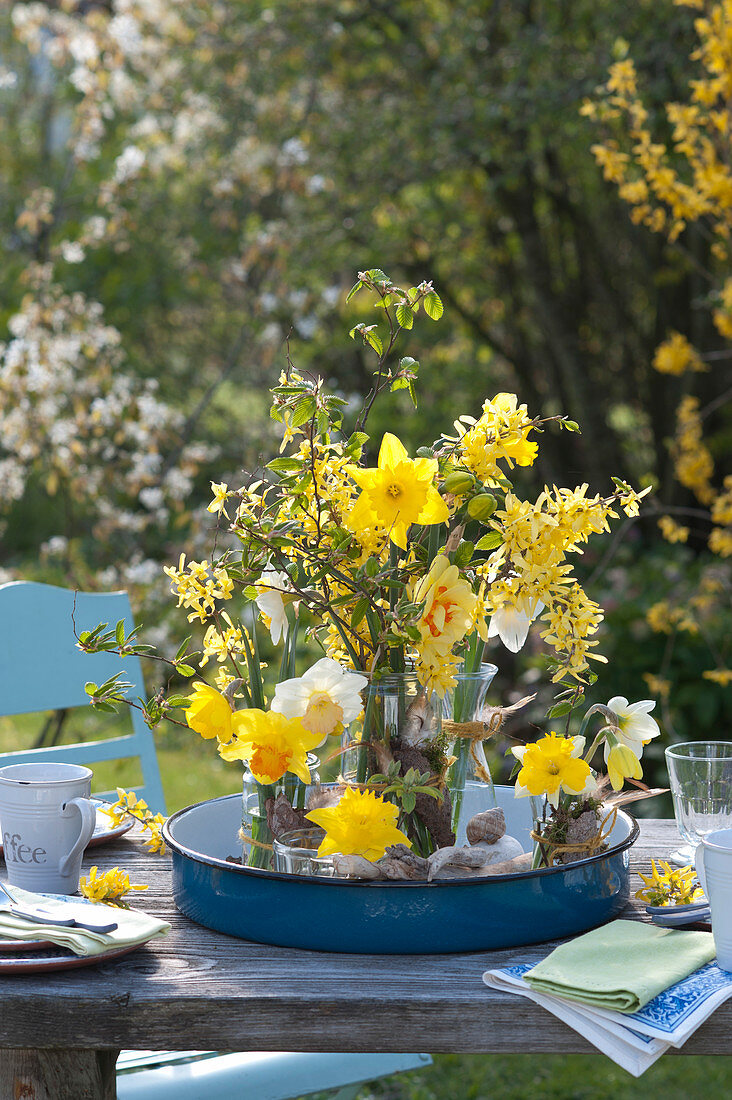 Bouquets made of arcissus (narcissus) and branches of forsythia