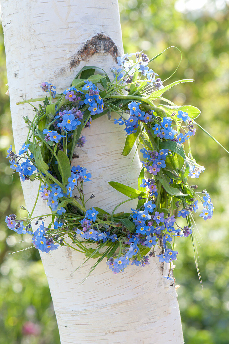 Small myosotis (forget-me-not) and grasses wreath