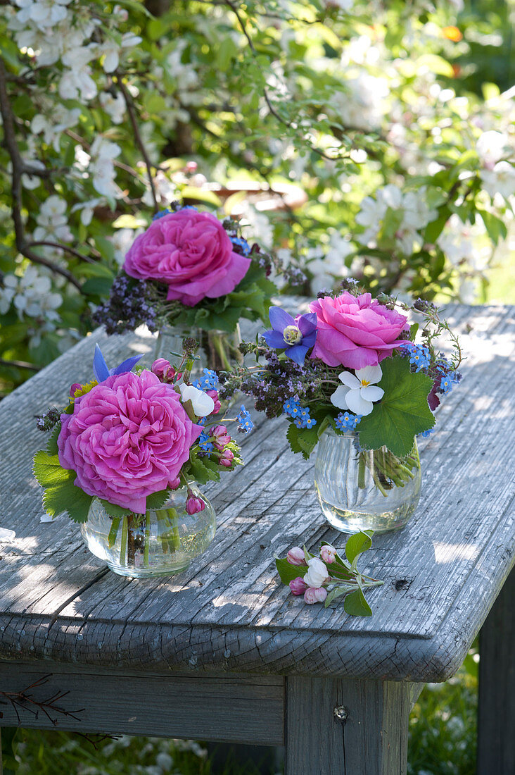 Kleine Sträuße in Gläsern : Rosa ( Rosen ), Aquilegia ( Akelei ), Viola cornuta