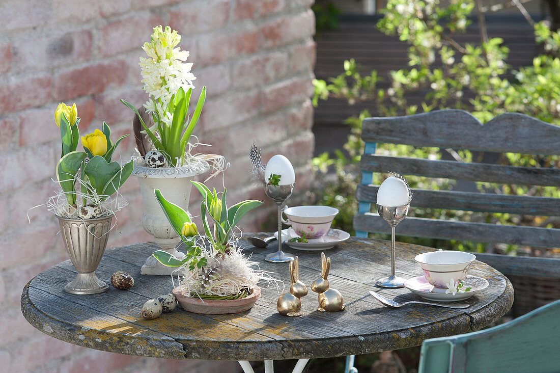 Kleines Osterfrühstück mit Hyacinthus 'White Pearl' ( Hyazinthe )