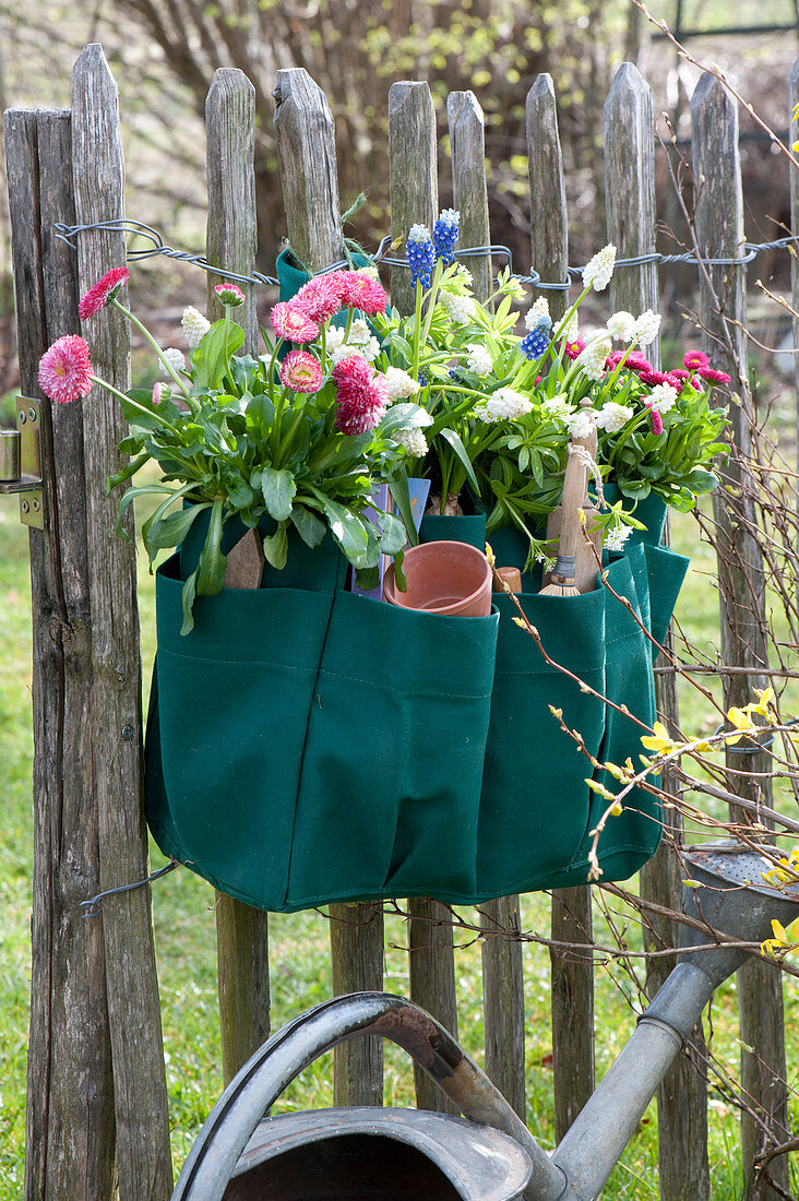 Gärtnertasche zweckentfremdet und bepflanzt an Zaun gehängt :