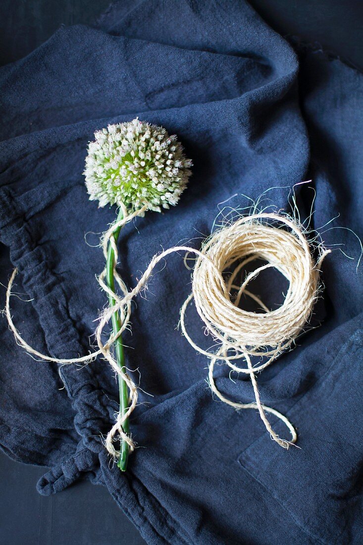 White allium flower wrapped in cord on dark blue fabric