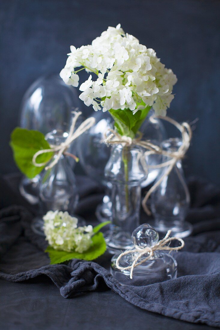 weiße Hortensienblüten in Glasgefässen