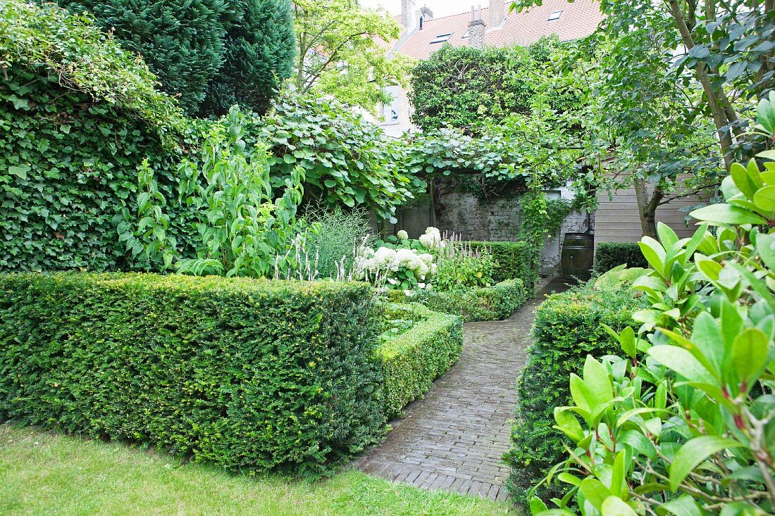 Paths lined with yew hedges in green garden