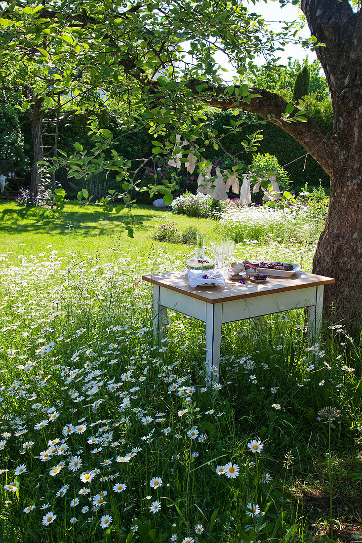 Set table under tree in flowering meadow in summery garden
