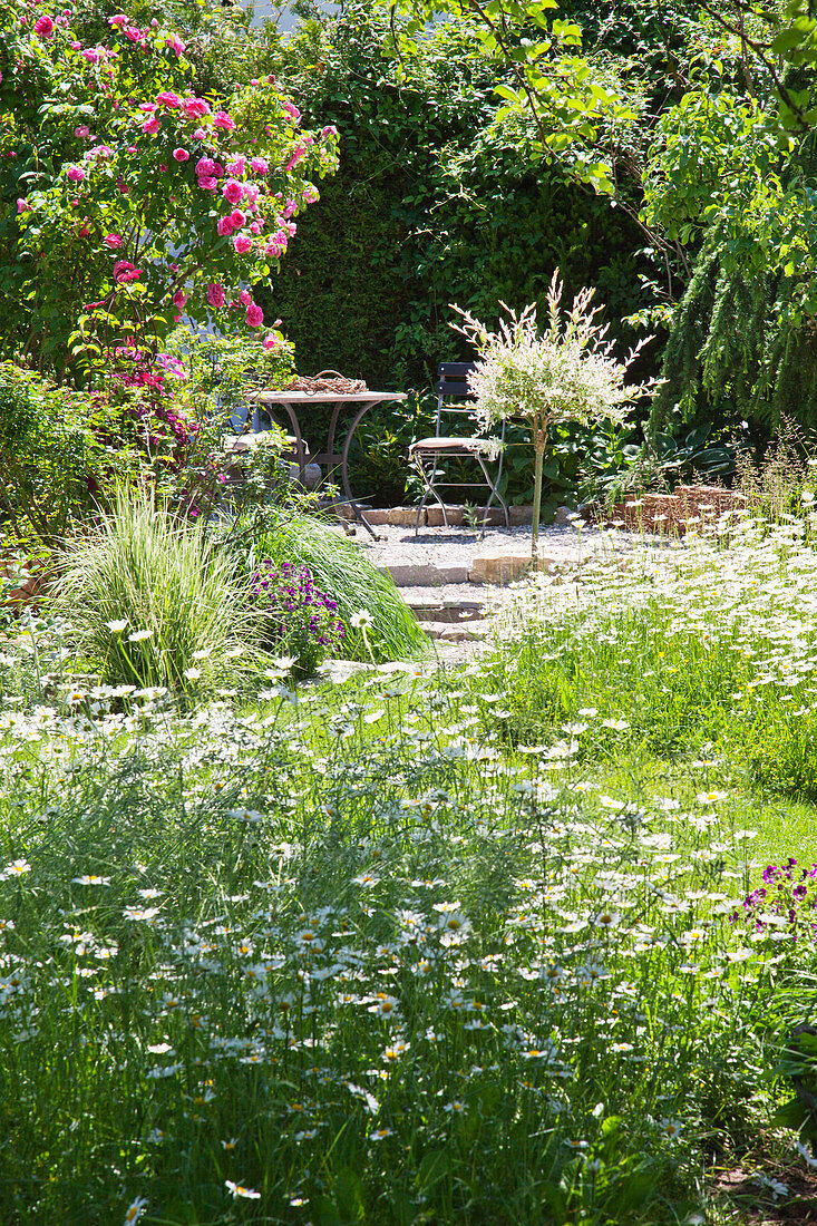 Blumenwiese im Sommergarten mit romantischem Sitzplatz