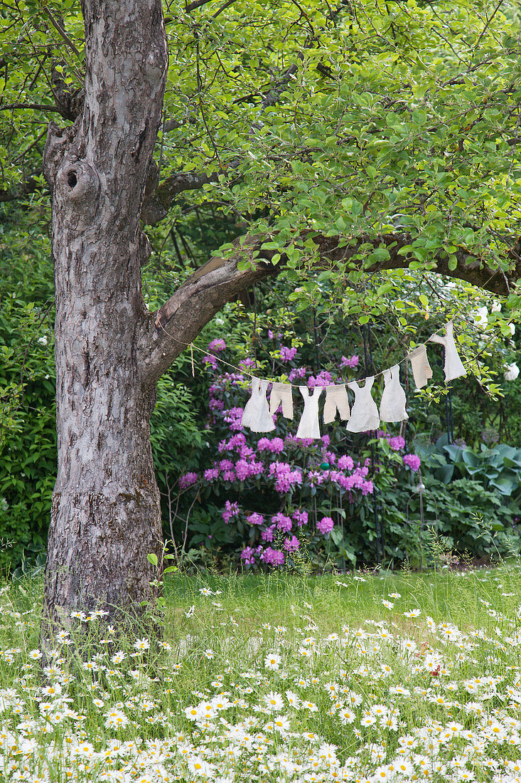 Dolls' clothes on clothes line tied to tree above flowering meadow