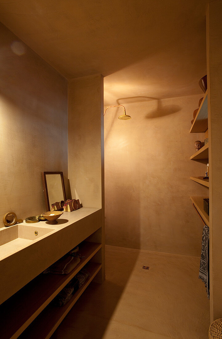 Washstand and shower area in designer bathroom