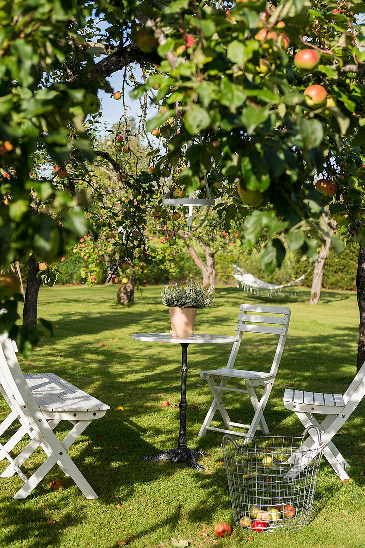 Folding chairs and bistro table under apple tree in summer garden