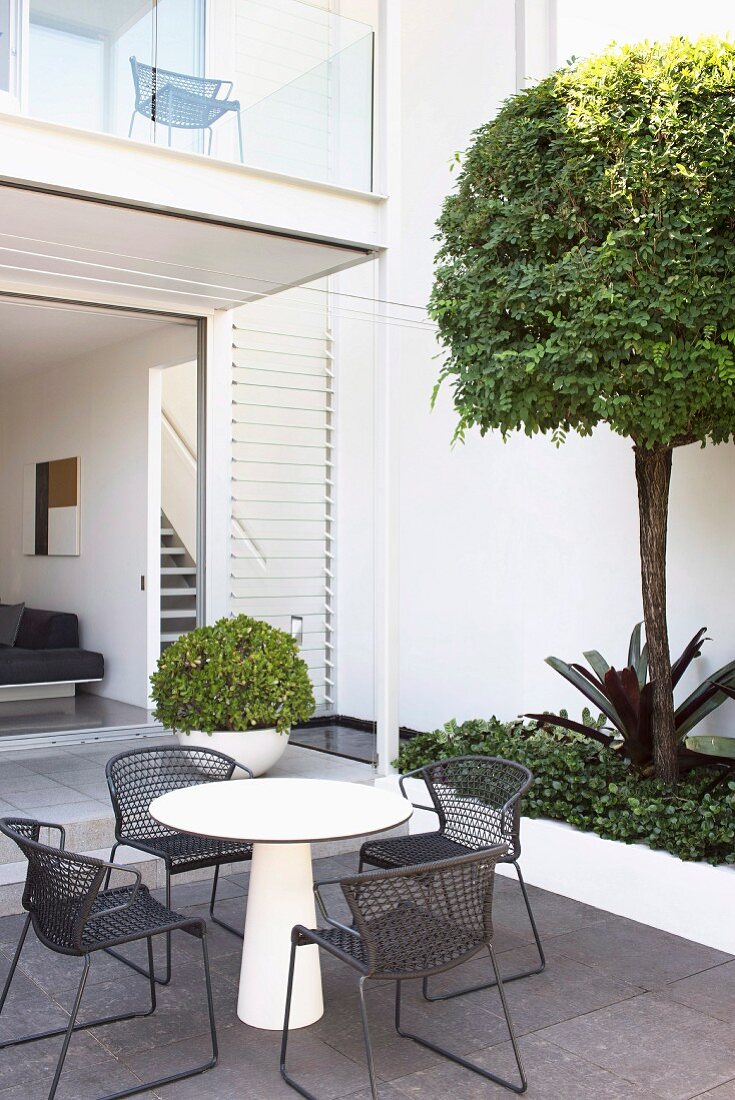 Modern courtyard with a seat and a topiary tree