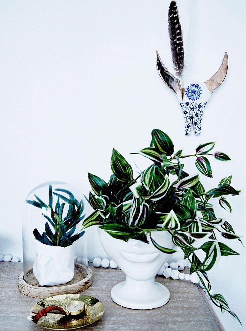 Arrangement with house plants under painted animal skull