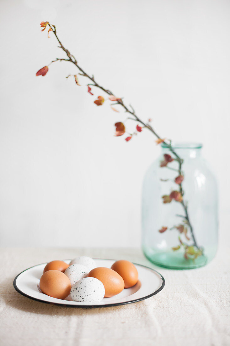 Braune und weiße, gesprenkelte Eier auf Emailleteller und Zweig im Glas