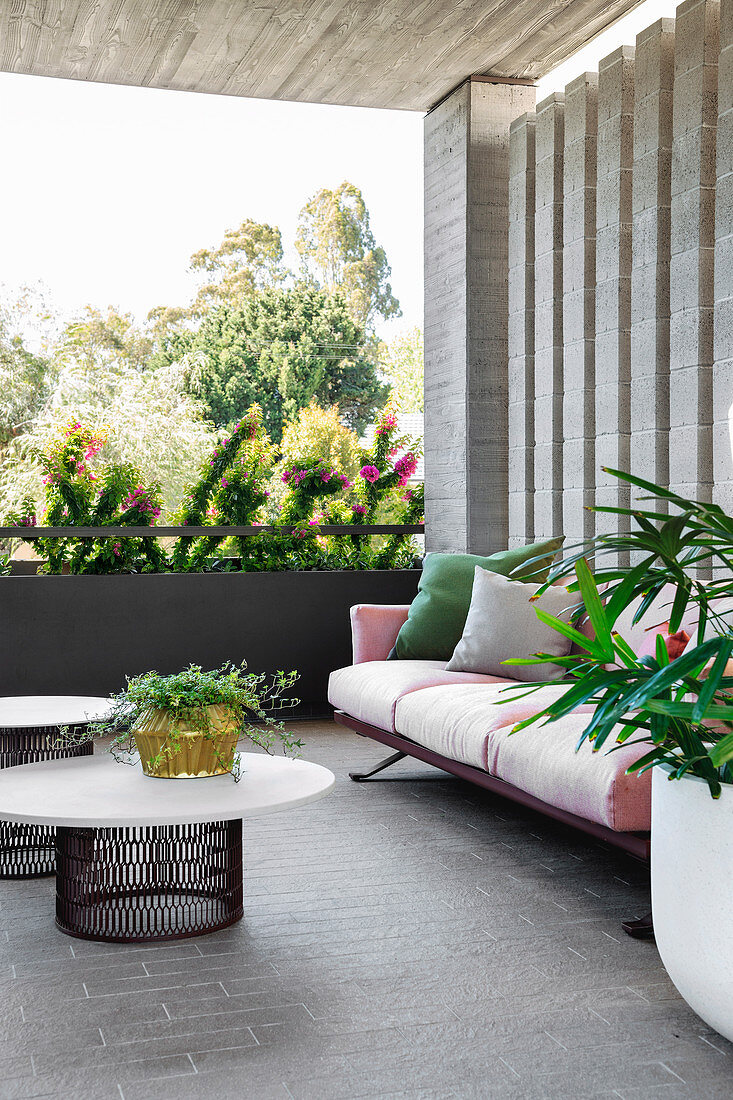 Sofa, Couchtisch und Pflanze auf überdachter Terrasse
