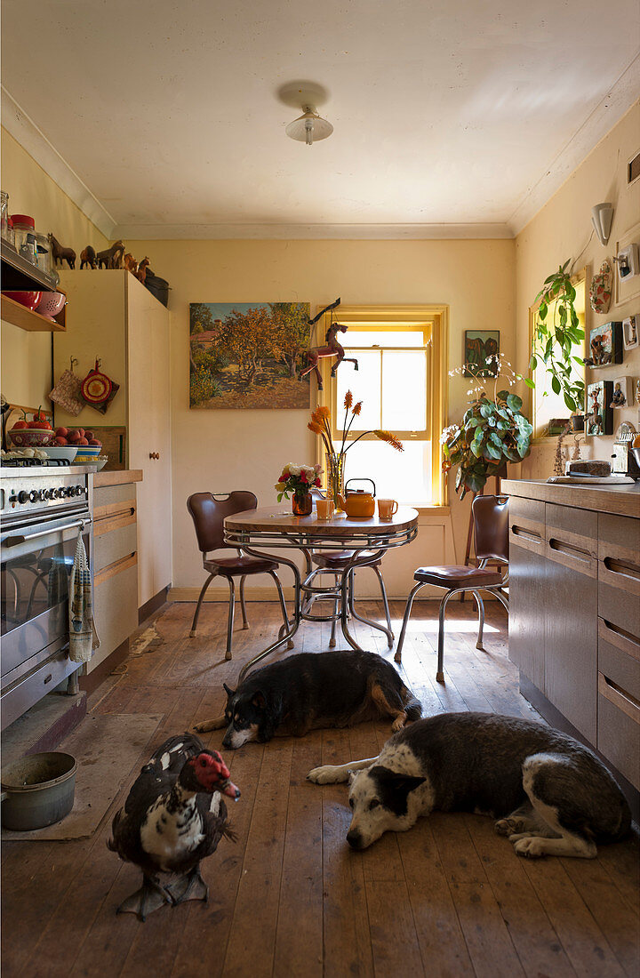 Fifties-style breakfast table and two chairs in kitchen with dog and duck in foreground
